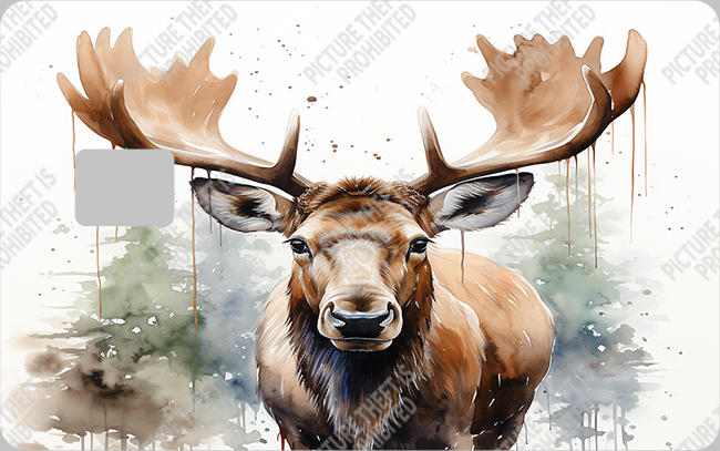 Bank  Card Sticker-BC-183